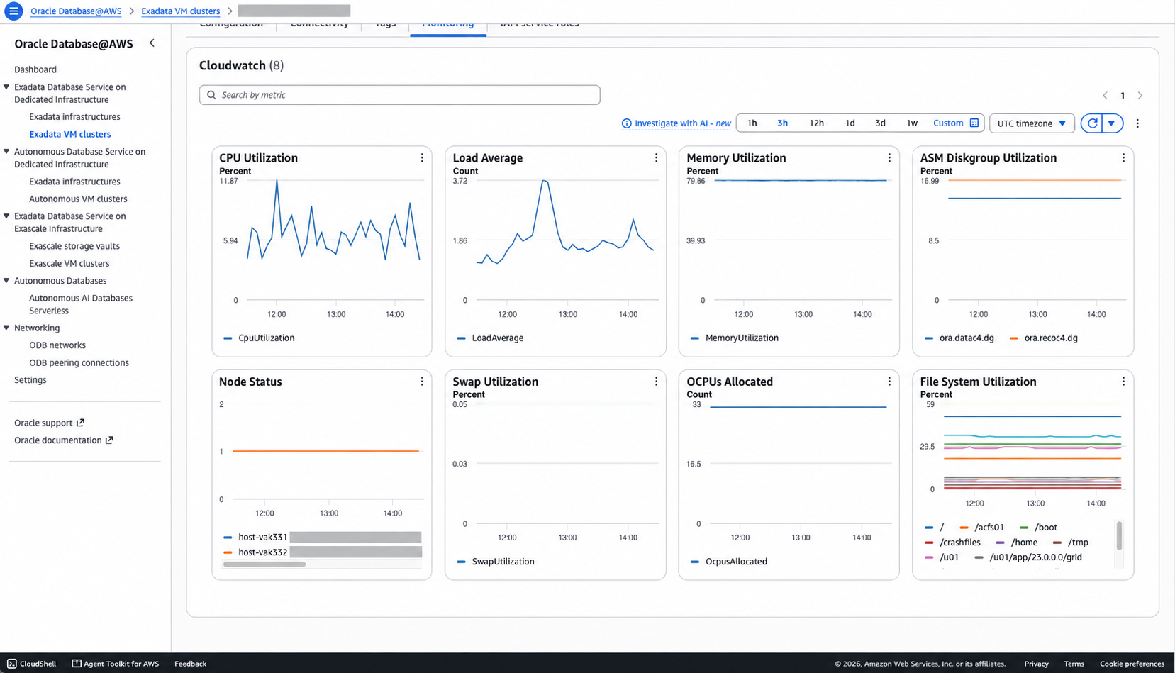 Oracle Database@AWS CloudWatch metrics for an Exadata VM cluster.